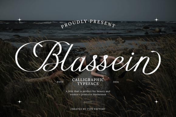 Blassein: A Review of an Elegant Calligraphic Font for Campaigns