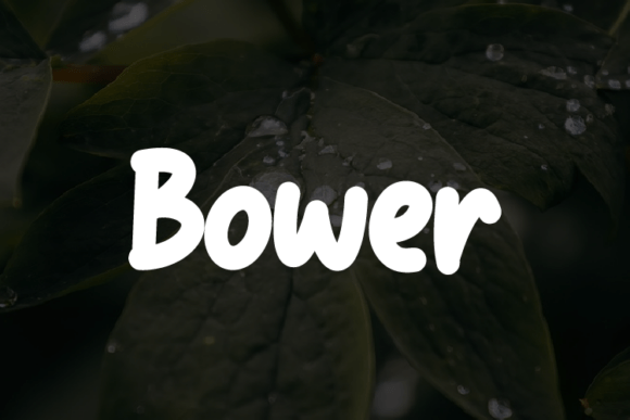 Bower: A Modern Typeface for Your Creative Craft Business