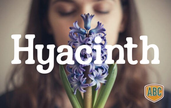 Bringing Heart to the Campaign: The Hyacinth Font Story