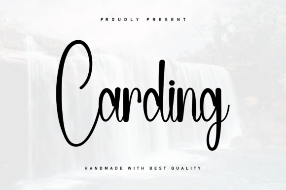 Carding Font: A Real Test for a Boutique Website Design