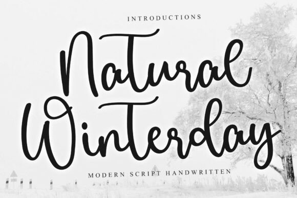 Natural Winterday: The Font That Crafts Your Brand’s Cozy Story