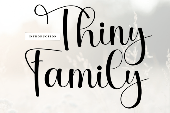 Thiny Family Font: A Simple Upgrade for Your Brand's Personality